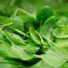 10 Magnesium-Rich Foods for a Healthier Heart
