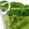 Ginger & Moringa: the most Powerful Disease-Killing Combination