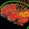 7 Dangerous Ways You Are Causing Slow & Sure Brain Cell Death