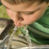 Fluoride Reduces the IQ of Children, Study Finds