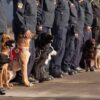 Meet the Rescue Dogs Sent from Croatia to Help Victims from Albanian Earthquake