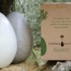 Alternatives to Traditional Burials: Biodegradable Pod Turns Bodies into Trees