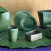Doing Away with Single-Use Plastics: This Is the New Eco-Friendly Banana Leaf Tech