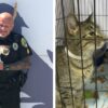 In Indiana, You Can Pay for Your Parking Ticket by Making a Donation to the Local Animal Shelter