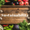 If You Need more Reasons to Go Plant-Based: 5 Ways an Animal-Free Diet Helps the Environment