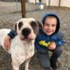 This 7-Year-Old Boy Was Named Kid of the Year after Helping more than 1300 Dogs to Find a Home
