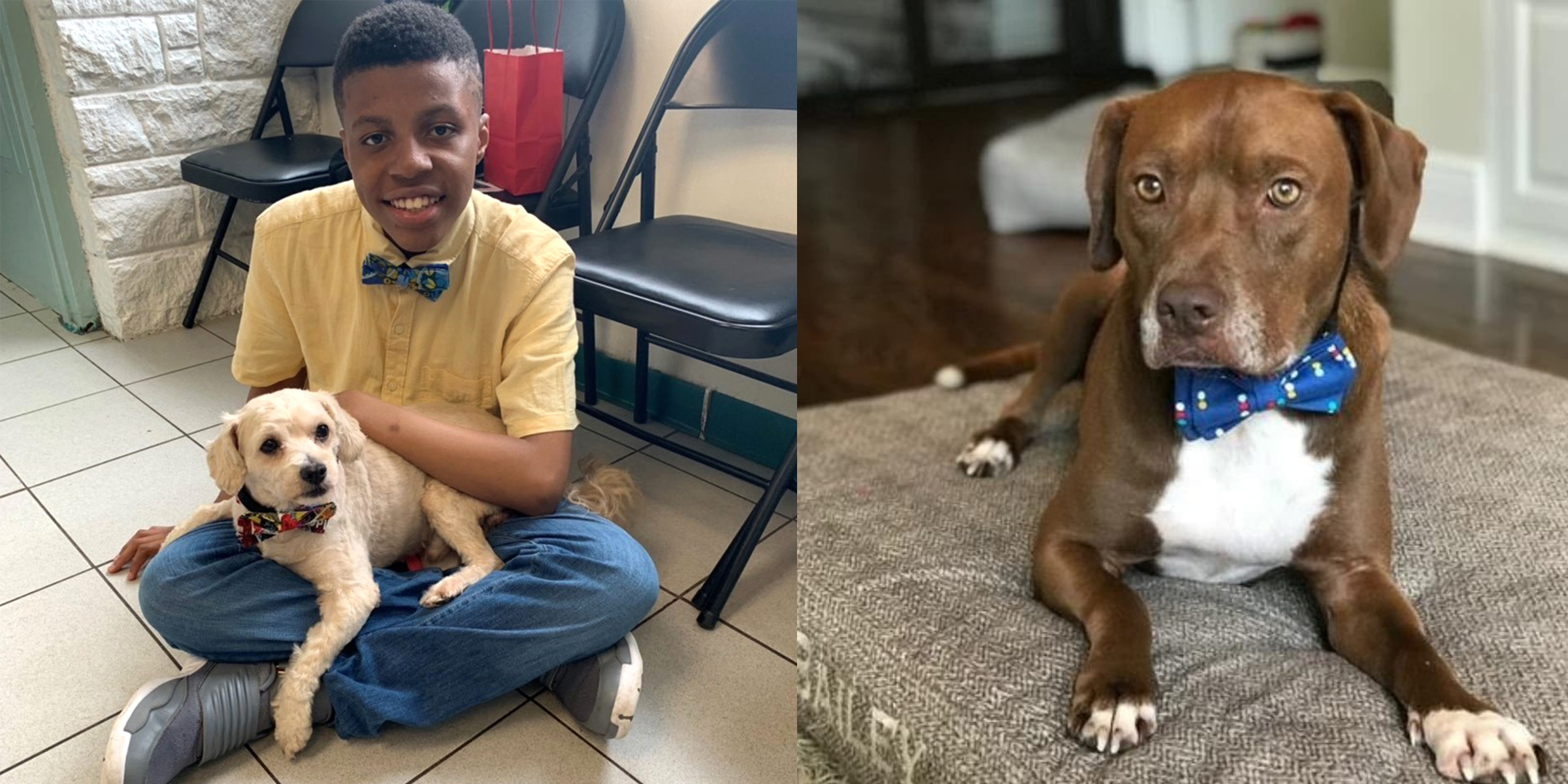 Amazing Teen Makes Tiny Bow Ties for Shelter Dogs to Help Them Get Adopted