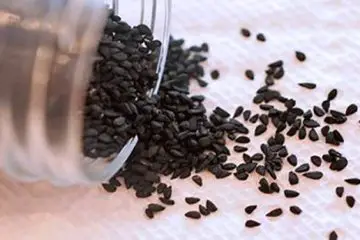Black Seed- the Remedy for Everything but Death?