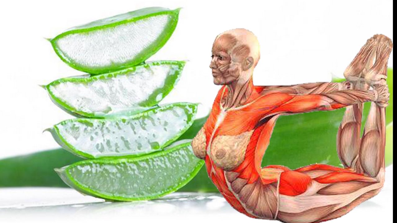 See What Happens to the Body When You Consume Raw Aloe Vera Juice