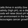 The King of Alkaline Foods: Strengthens the Liver, Neutralizes Toxins & Detoxifies the Blood
