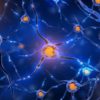 Yes, You can Grow New Brain Cells. Here Is How
