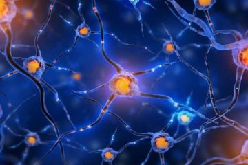Yes, You can Grow New Brain Cells. Here Is How