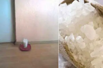 Put a Glass of Water with Salt & Vinegar in Your Home. After 24 Hours, You Will Be very Surprised!