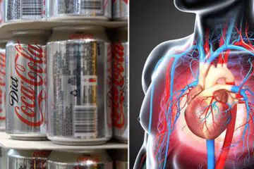 What Happens to Your Lungs, Brain, Teeth, Lungs, Kidneys & Mood when You Drink Diet Soda