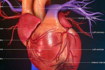 6 Major Warning Signs Your Body Gives before a Heart Attack
