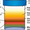Here Is what Your Urine Color Says about Your Health. Pay Attention!