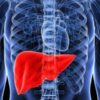 Fatty Liver: Causes, Symptoms, Treatment & Home Remedies