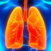 Plant Compound Found to Reverse Lung Damage Linked to COPD