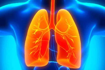 Plant Compound Found to Reverse Lung Damage Linked to COPD