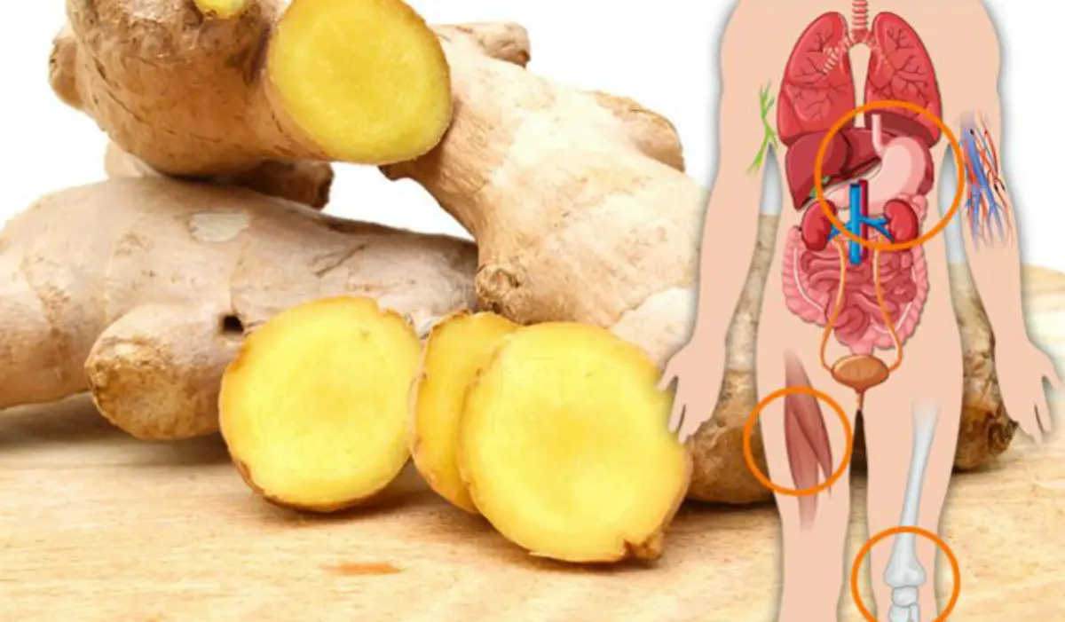 13 Things That Happen To Your Body When You Eat Ginger