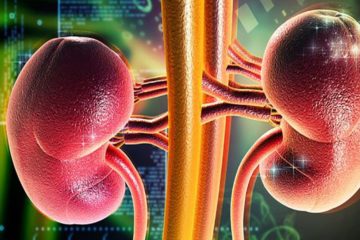 11 of the Worst Habits that Damage the Kidneys