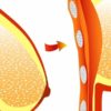 2 Great Tips for Naturally Perky Breasts