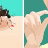 Take this Vitamin to Repel Mosquitoes all Summer long