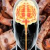 This Is How Your Brain Changes when You Consume Turmeric