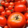 Acid to Alkaline: Naturally Acidic Plant-Based Foods to Alkalize the Body