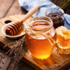 10 Natural Antibiotics that Our Ancestors Used instead of Pills