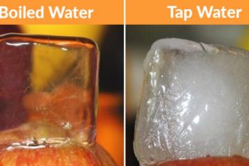 39 Facts about the World that Will Surprise the most Intelligent People