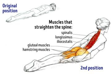 10 Exercises to Un-Slouch Your Back & Correct Bad Posture & Back Pain
