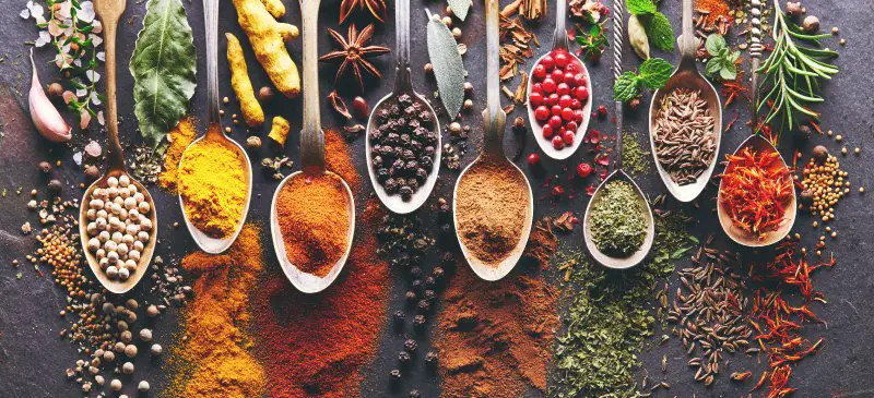 The 6 Most Powerful Herbs For Improving Your Digestion & Healing Your Gut