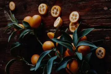Kumquats: Use It to Boost Your Metabolism, Reduce Inflammation & Better Your Vision