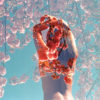 The Whole Body Cleanse: How to Purify the Body from Head to Toe