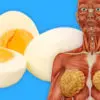 These 6 Things Happen to Your Body If You Start Eating Eggs