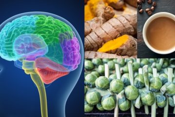 Best 8 Brain Foods: Better Memory, Focus & Mood