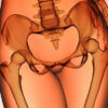 8 Important Facts about the Female Body You Need to Know