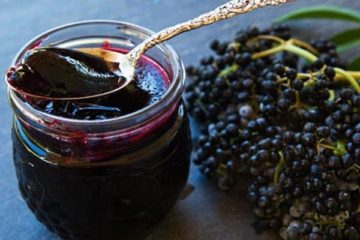 Mother Nature’s Tamiflu- Elderberry Extract
