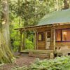 New Study Shows: Women Live Longer when Surrounded by Nature