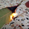 Why You Need to Burn Bay Leaves: 3 Amazing Health Benefits