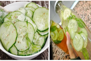 The Power of Cucumber: Melts Body Fat & Protects Your Kidneys