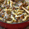 Vegan Deliciousness: Mushroom Stroganoff Recipe