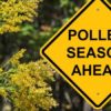 Achoo! Seasonal Allergies Are Here: Learn Useful Tips for an Easy Spring