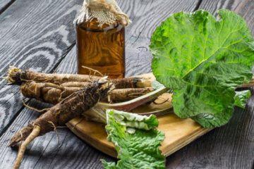 7 Surprising Burdock Root Benefits for the Body, Hair & Skin