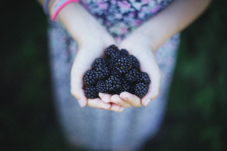 The 5 Amazing Benefits of Blackberry It Fights Off Inflammation & Cancer