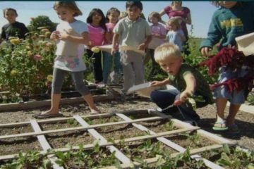 Should Children Be Taught How to Grow Food in School?