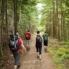 Scientists Claim: Hiking Changes Your Brain