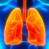 Use these 10 Foods & Plants to Detox the Lungs & Relieve Respiratory Infections