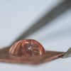 Copper Destroys Viruses on Contact